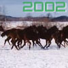2002冬